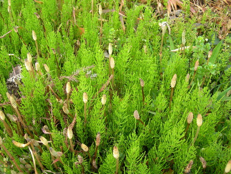 f0213825_16252947.jpg