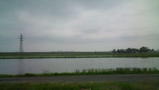 f0176526_8182413.jpg