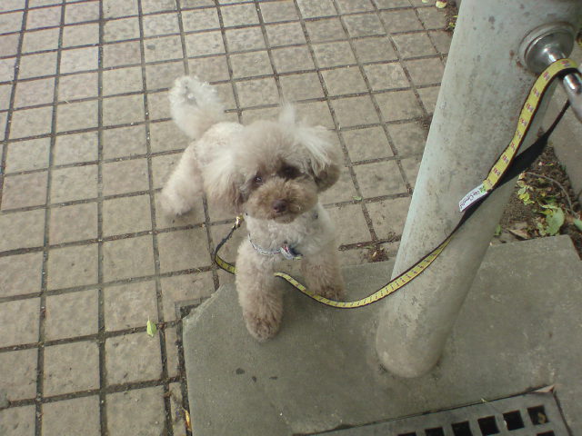 e0016828_9243643.jpg