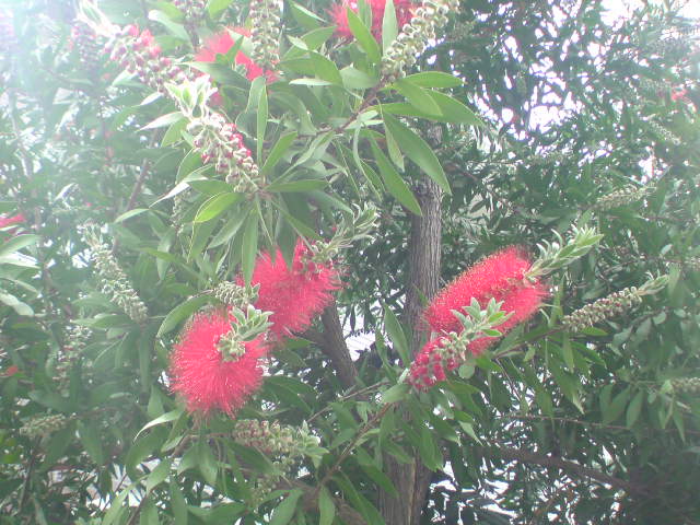 e0016828_942503.jpg