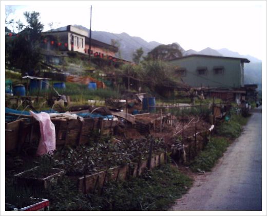 d0098941_184738.jpg