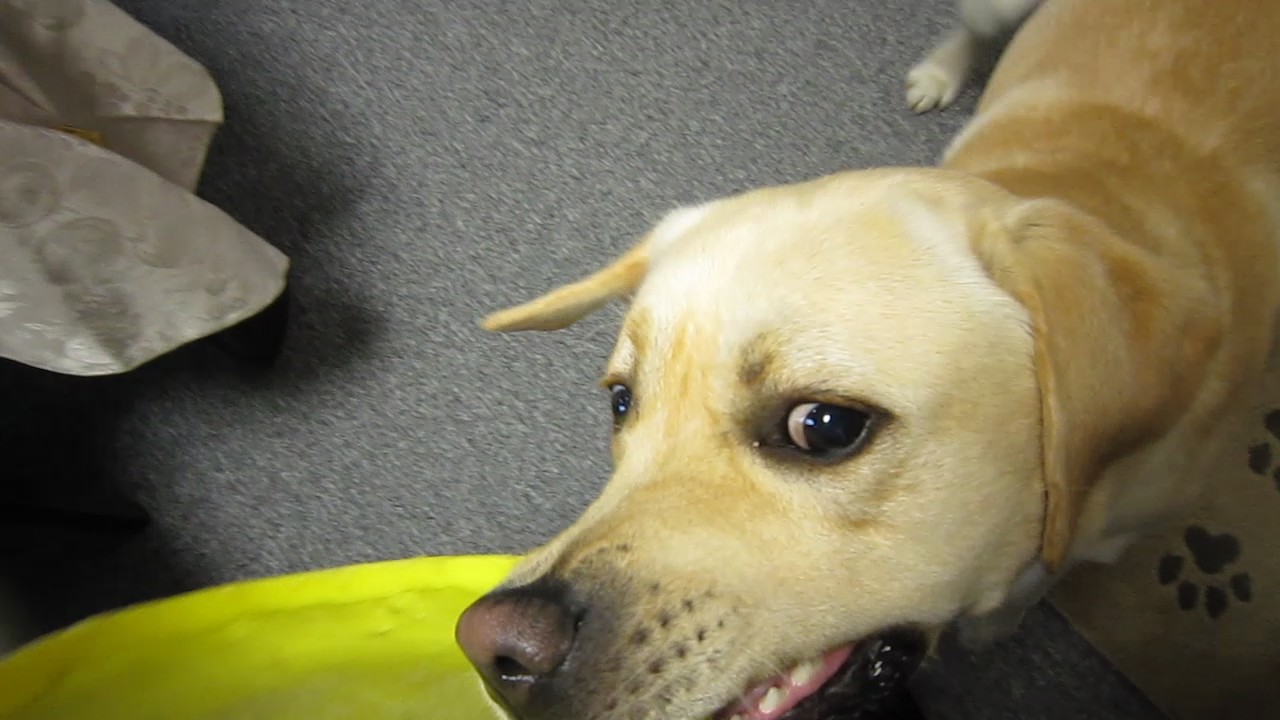 a0142343_1044158.jpg