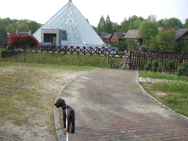 f0159243_14314574.jpg