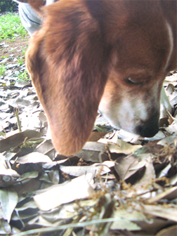 c0086746_11282661.jpg