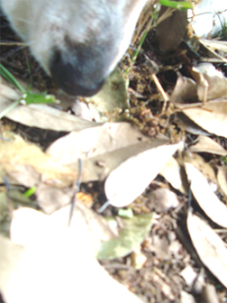 c0086746_11285937.jpg
