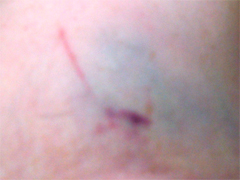 c0086746_12274876.jpg