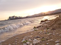 e0175148_053250.jpg