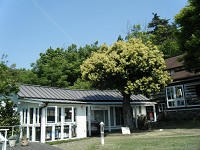 e0175148_831316.jpg