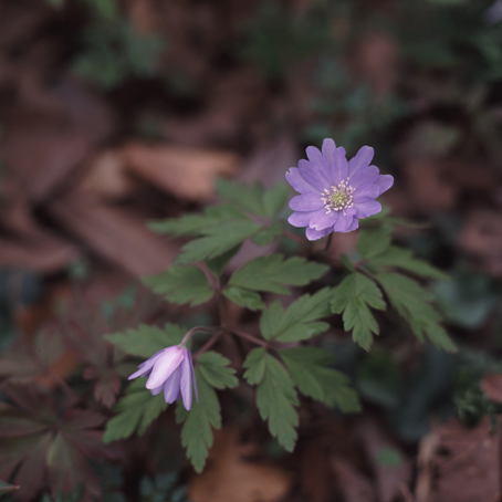 f0147048_2254184.jpg
