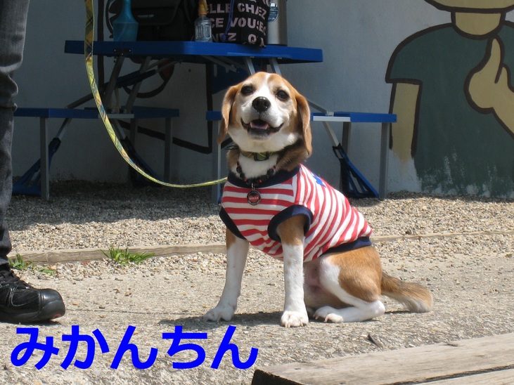d0155853_0364021.jpg