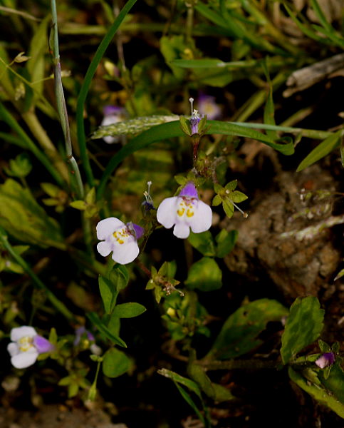d0091754_1492842.jpg