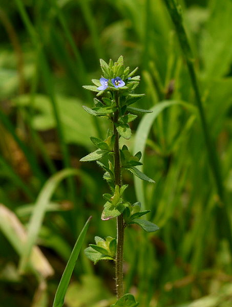 d0091754_223476.jpg