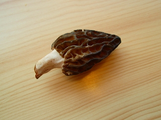 e0004756_2115451.jpg