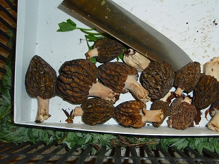 e0004756_21162961.jpg