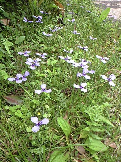 f0063356_12324076.jpg
