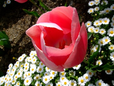 e0176158_062641.jpg