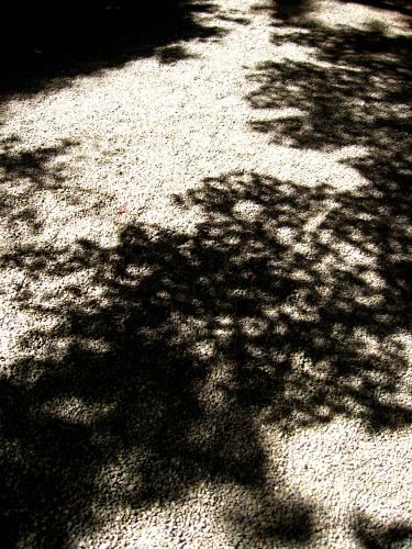 c0206559_21244239.jpg