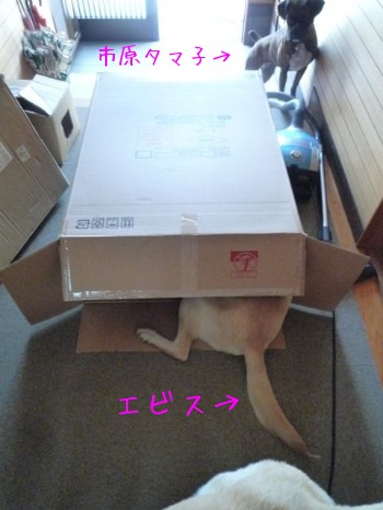 f0177261_1062043.jpg