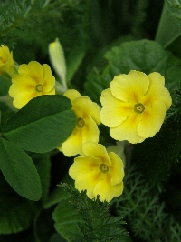 f0035962_9171044.jpg