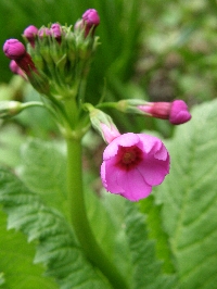 f0035962_9172721.jpg