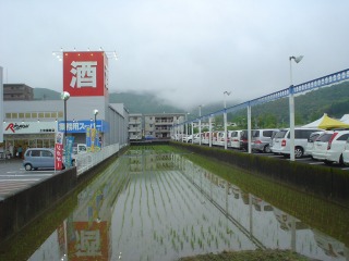 f0055264_0205572.jpg