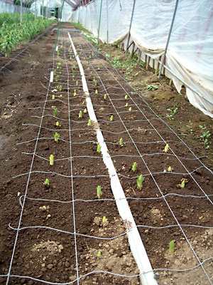 e0097770_16543162.jpg