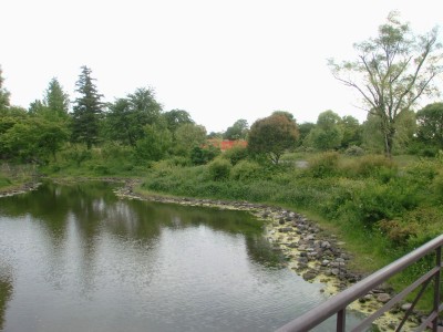 c0112172_158380.jpg