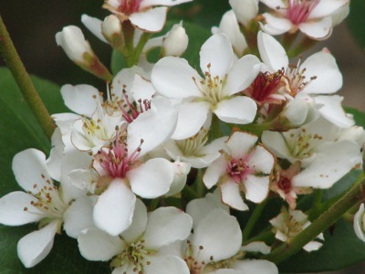 d0050472_18264425.jpg