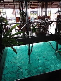 d0041074_1039250.jpg