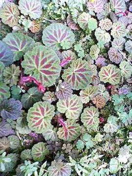 f0054677_8342150.jpg