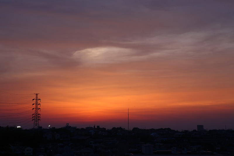 a0155278_21424891.jpg