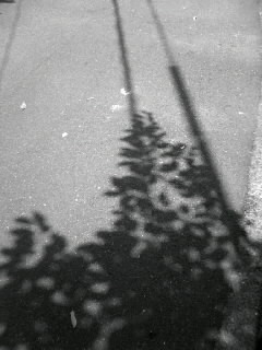 f0100480_20554389.jpg