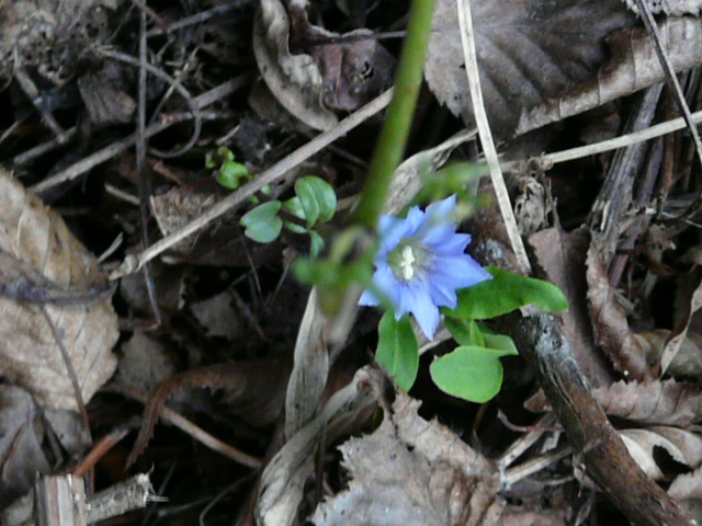 e0145782_17505019.jpg