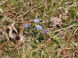 d0065484_0283092.jpg