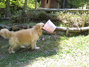 d0065484_0335839.jpg