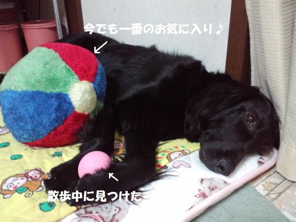d0070289_1639751.jpg