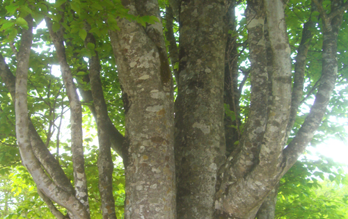 b0099994_1062497.jpg