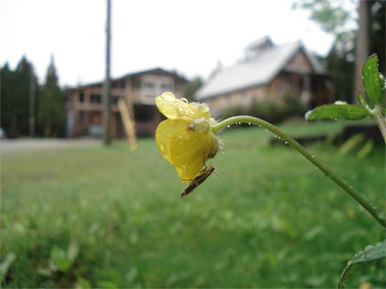 a0061599_742363.jpg