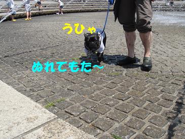 c0188904_810524.jpg