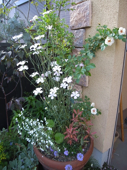 f0065604_20383392.jpg