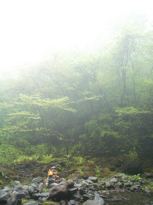 b0172805_222172.jpg