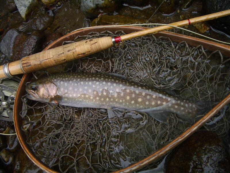 b0172805_228371.jpg