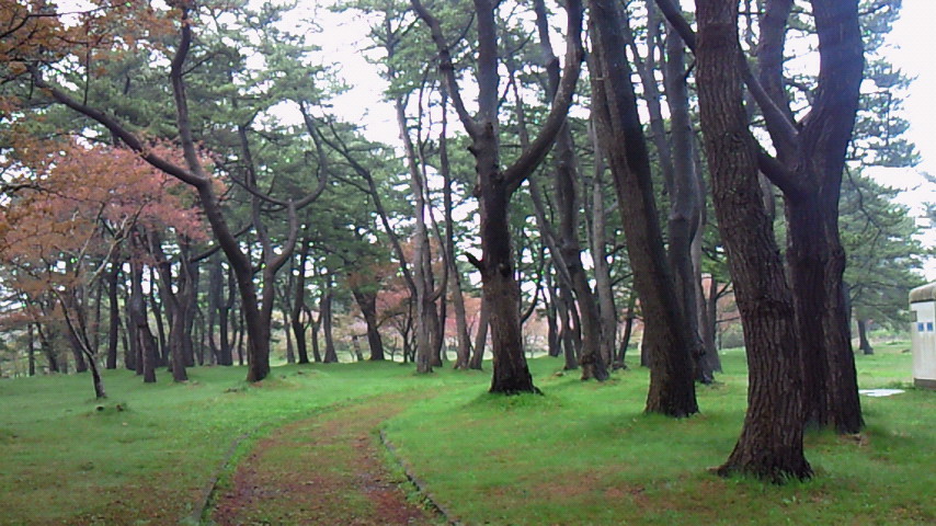 d0149105_943363.jpg
