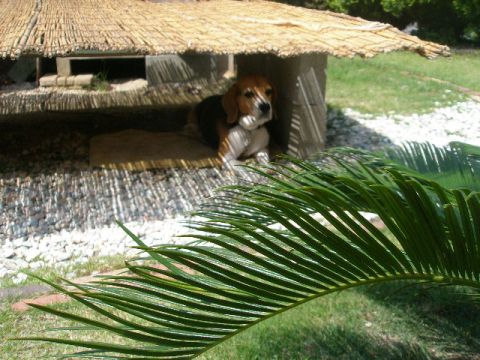 c0205806_1711293.jpg