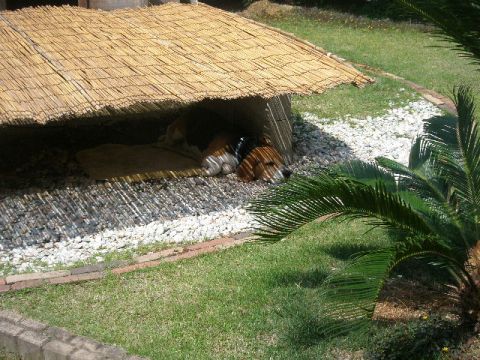 c0205806_1711437.jpg