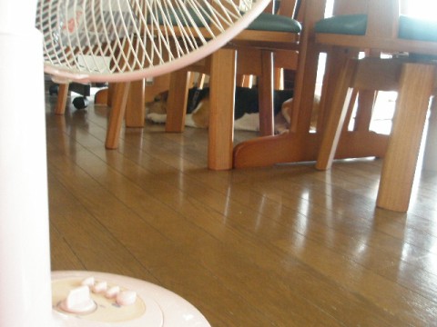 c0205806_1712313.jpg