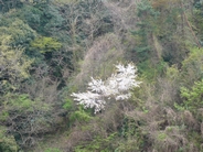 f0221708_1813512.jpg