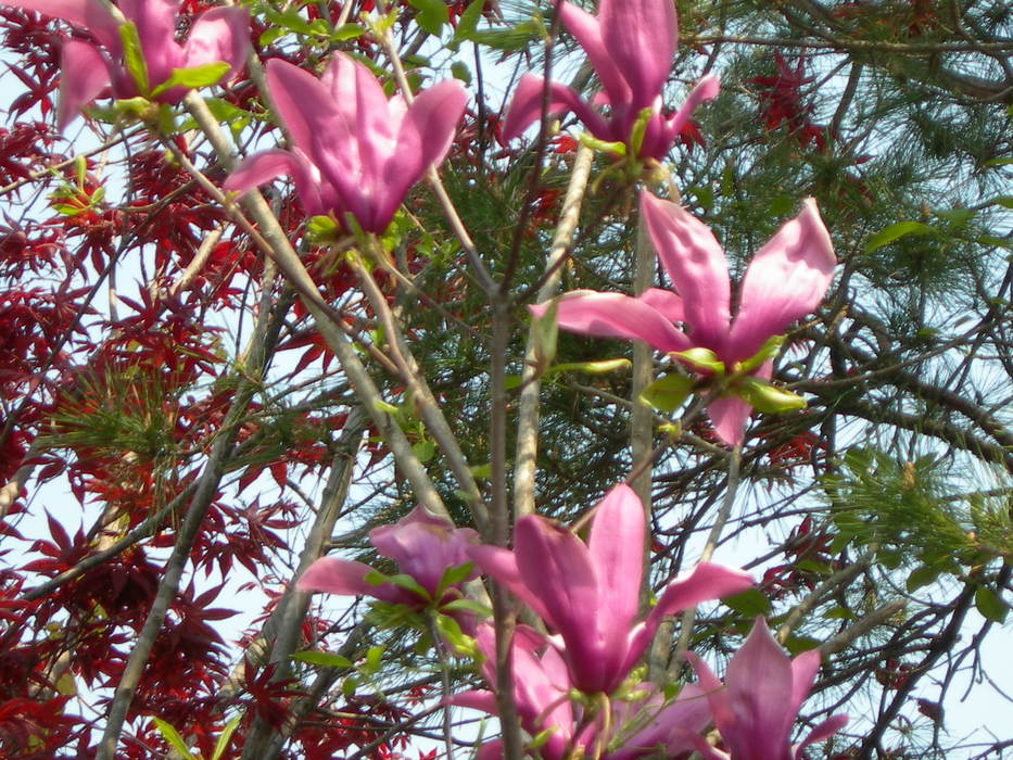 b0176309_1613043.jpg