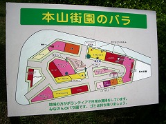 c0190010_21561310.jpg