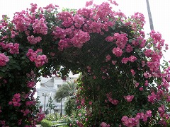 c0190010_21565490.jpg